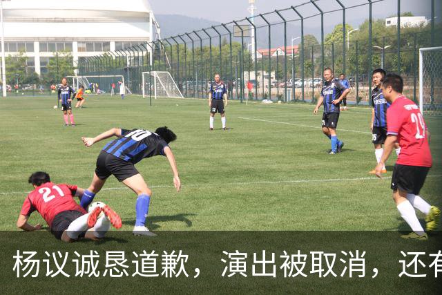 杨议诚恳道歉，演出被取消，还有374万债务没还，文旅局介入核查