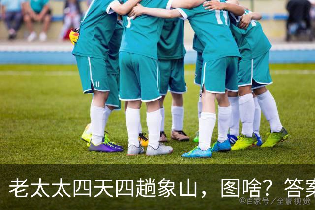 老太太四天四趟象山，图啥？答案让无数年轻人沉默了