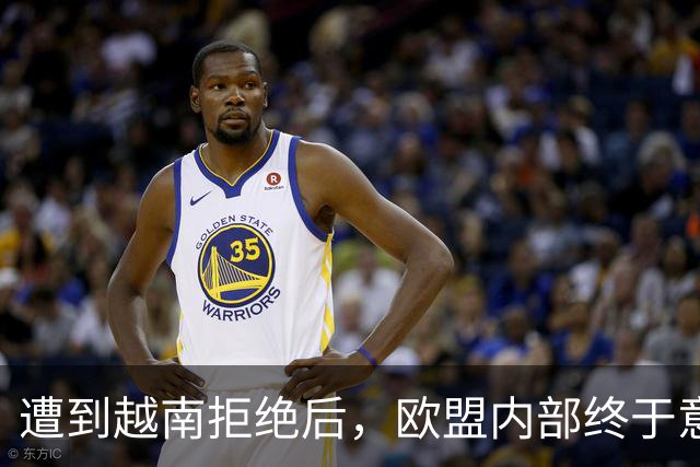 遭到越南拒绝后，欧盟内部终于意识到：什么叫 “中国力量”！