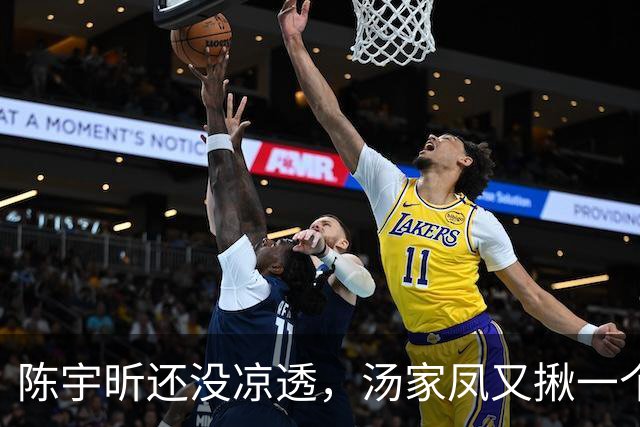 陈宇昕还没凉透，汤家凤又揪一个“精日”人员：竟然还是公司老板